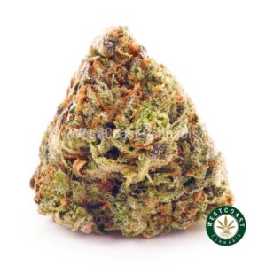Buy weed Purple Diesel AAA at wccannabis weed dispensary & online pot shop