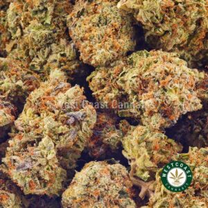 Buy weed Purple Diesel AAA at wccannabis weed dispensary & online pot shop Buy weed Purple Diesel AAA at wccannabis weed dispensary & online pot shop