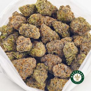 Buy Super Nuken strain online-Order weed online in Canada mail order marijuana dispensary Buy Super Nuken strain online. Order weed online in Canada mail order marijuana dispensary.