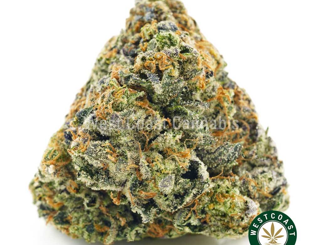 Buy Cannabis Purple Crush at Wccannabis Online Shop