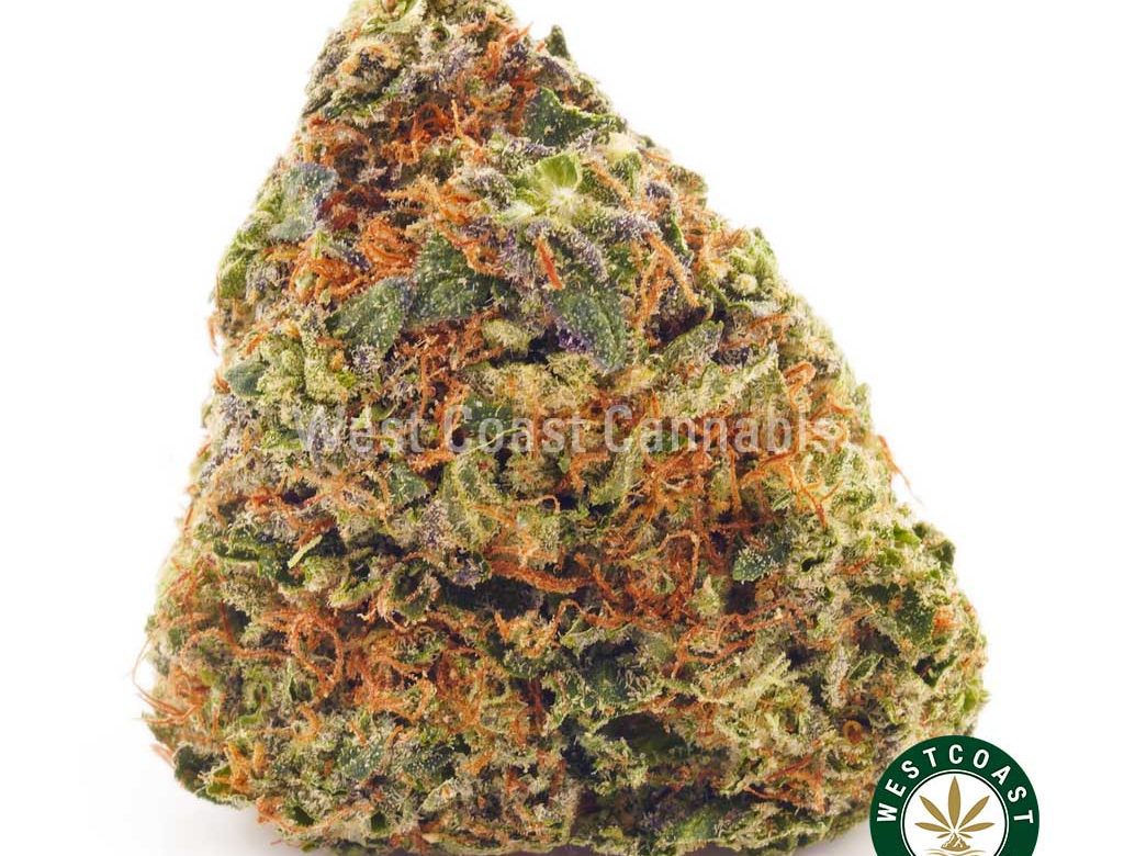 Buy weed Granddaddy Rockstar AAA at wccannabis weed dispensary & online pot shop