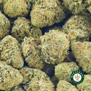 Buy weed California Orange AA at wccannabis weed dispensary & online pot shop Buy weed California Orange AA at wccannabis weed dispensary & online pot shop