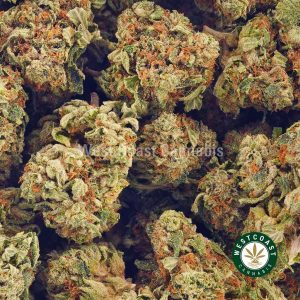 Buy weeds online Space Monkey BC cannabis. online dispensary. cannabis canada.