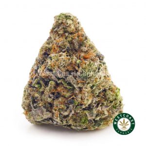 Buy Cannabis Pink Tom Ford at Wccannaibs Online Shop