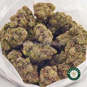 Buy Cannabis Pink Tom Ford at Wccannaibs Online Shop
