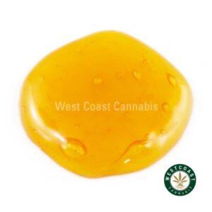 Buy Terp Sauce Mike Tyson at Wccannabis Online Shop