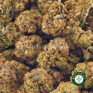 Buy weed Royal Gorilla AAA at wccannabis weed dispensary & online pot shop