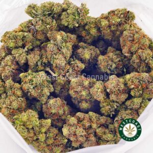 Buy weed OG Kush AA at wccannabis weed dispensary & online pot shop Buy weed OG Kush AA at wccannabis weed dispensary & online pot shop