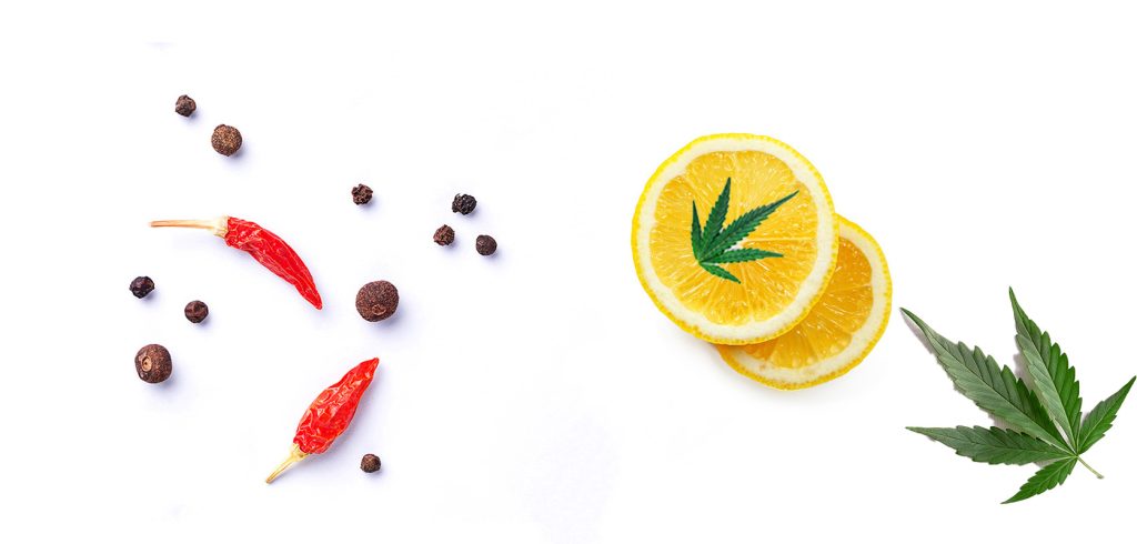 Gorilla Glue #4 Strain Terpene Profile and Flavour. mail order weed canada. edible gummies. weed dispensary vancouver. Gorilla Glue #4 Strain Terpene Profile and Flavour. mail order weed canada. edible gummies. weed dispensary vancouver.