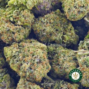 Buy weed Jungle Cake AAA at wccannabis weed dispensary & online pot shop