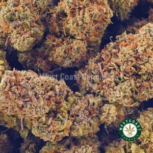 Buy weed Pink Tuna AA at wccannabis weed dispensary & online pot shop Buy weed Pink Tuna AA at wccannabis weed dispensary & online pot shop