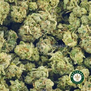 Buy weed Black Cherry OG AAAA (Popcorn Nugs) at wccannabis weed dispensary & online pot shop Buy weed Black Cherry OG AAAA (Popcorn Nugs) at wccannabis weed dispensary & online pot shop