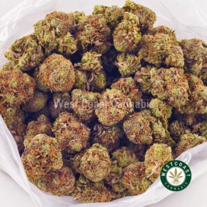 Buy weed Blueberry Haze AA at wccannabis weed dispensary & online pot shop Buy weed Blueberry Haze AA at wccannabis weed dispensary & online pot shop