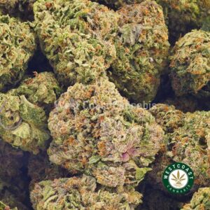 Buy weed Pink Slurricane AAAA at wccannabis weed dispensary & online pot shop