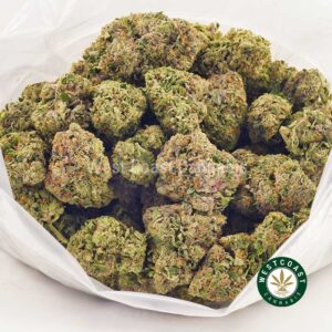 Buy weed Pink Slurricane AAAA at wccannabis weed dispensary & online pot shop