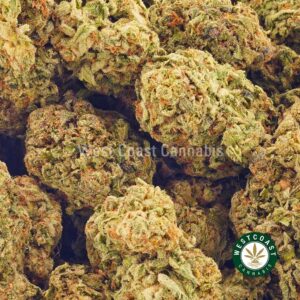 Buy weed Blue Amnesia AA at wccannabis weed dispensary & online pot shop
