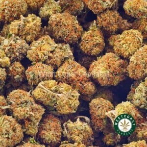 Buy weed Tangerine Haze AA (Popcorn Nugs) at wccannabis weed dispensary & online pot shop