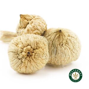 Q138A1 GREATWHITEMONSTERSHROOMS WCCANNABIS
