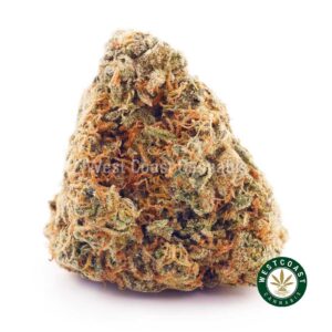 Buy weed Cookies and Cream AA at wccannabis weed dispensary & online pot shop
