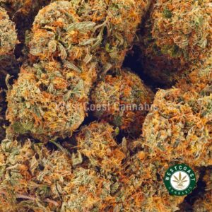 Buy weed Pink Congo AA at wccannabis weed dispensary & online pot shop