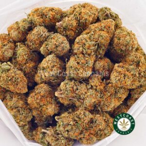 Buy weed Pink Congo AA at wccannabis weed dispensary & online pot shop