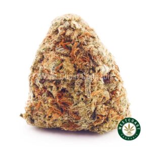 Buy weed Jungle Cake AA at wccannabis weed dispensary & online pot shop