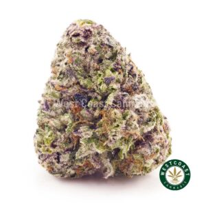 Buy weed Supreme Blackberry Haze AAAA at wccannabis weed dispensary & online pot shop Buy weed Supreme Blackberry Haze AAAA at wccannabis weed dispensary & online pot shop