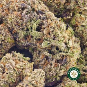 Buy weed Supreme Blackberry Haze AAAA at wccannabis weed dispensary & online pot shop Buy weed Supreme Blackberry Haze AAAA at wccannabis weed dispensary & online pot shop