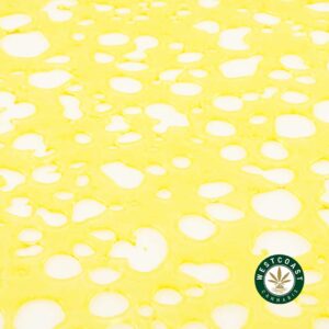 Buy Premium Shatter - Island Sweet Skunk (Sativa) at Wccannabis Online Dispensary