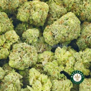 Buy weed Sour Tangie AAA at wccannabis weed dispensary & online pot shop Buy weed Sour Tangie AAA at wccannabis weed dispensary & online pot shop
