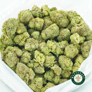 Buy weed Sour Tangie AAA at wccannabis weed dispensary & online pot shop Buy weed Sour Tangie AAA at wccannabis weed dispensary & online pot shop
