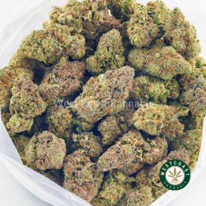 Buy weed White Russian AAAA at wccannabis weed dispensary & online pot shop Buy weed White Russian AAAA at wccannabis weed dispensary & online pot shop
