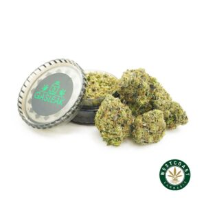 Buy weed Gas Leak - OG Octane AAAA at wccannabis weed dispensary & online pot shop Buy weed Gas Leak - OG Octane AAAA at wccannabis weed dispensary & online pot shop