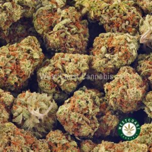 Buy weed OG Shark AA at wccannabis weed dispensary & online pot shop Buy weed OG Shark AA at wccannabis weed dispensary & online pot shop
