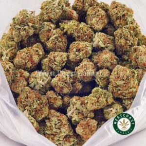 Buy weed OG Shark AA at wccannabis weed dispensary & online pot shop Buy weed OG Shark AA at wccannabis weed dispensary & online pot shop