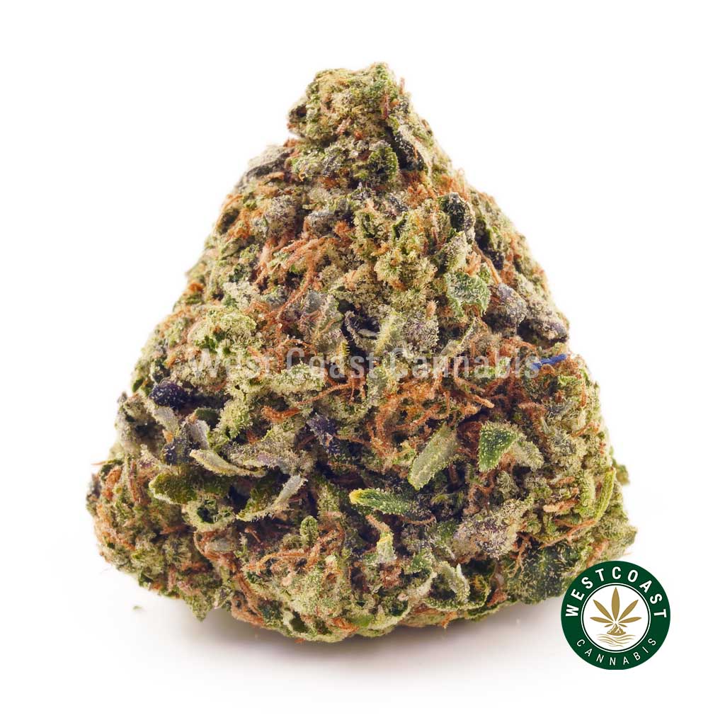 Buy weed Blue Magoo AAAA at wccannabis weed dispensary & online pot shop Buy weed Blue Magoo AAAA at wccannabis weed dispensary & online pot shop