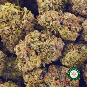 Buy weed Blue Magoo AAAA at wccannabis weed dispensary & online pot shop Buy weed Blue Magoo AAAA at wccannabis weed dispensary & online pot shop