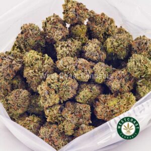 Buy weed Blue Magoo AAAA at wccannabis weed dispensary & online pot shop Buy weed Blue Magoo AAAA at wccannabis weed dispensary & online pot shop
