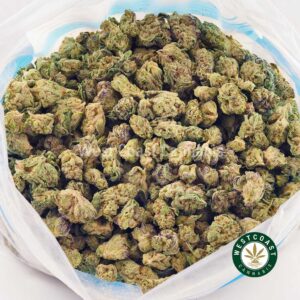 Buy weed Donkey Breath AAAA (Popcorn Nugs) at wccannabis weed dispensary & online pot shop Buy weed Donkey Breath AAAA (Popcorn Nugs) at wccannabis weed dispensary & online pot shop