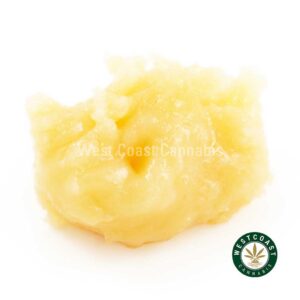 Buy Caviar - Raspberry Gelato at Wccannabis Online Shop