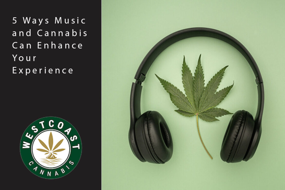 wcc blog music