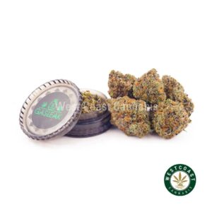 Buy weed Gas Leak - Pink Rob Ford AAAA at wccannabis weed dispensary & online pot shop