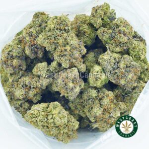 Buy weed Gas Leak - Jet Fuel AAAA at wccannabis weed dispensary & online pot shop Buy weed Gas Leak - Jet Fuel AAAA at wccannabis weed dispensary & online pot shop
