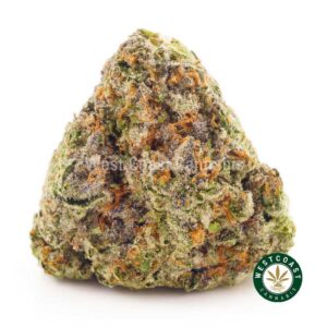 Buy weed Pink Alien Breath AAAA at wccannabis weed dispensary & online pot shop