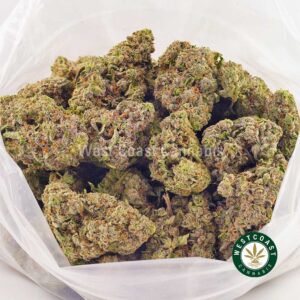 Buy weed Pink Alien Breath AAAA at wccannabis weed dispensary & online pot shop Buy weed Pink Alien Breath AAAA at wccannabis weed dispensary & online pot shop
