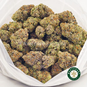 Buy weed Pink Biscotti AAAA at wccannabis weed dispensary & online pot shop Buy weed Pink Biscotti AAAA at wccannabis weed dispensary & online pot shop