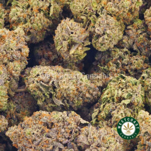 Buy weed Pink Biscotti AAAA at wccannabis weed dispensary & online pot shop Buy weed Pink Biscotti AAAA at wccannabis weed dispensary & online pot shop