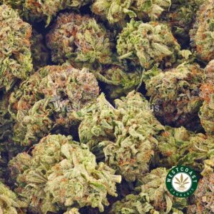 Buy weed Blueberry Octane AAAA at wccannabis weed dispensary & online pot shop Buy weed Blueberry Octane AAAA at wccannabis weed dispensary & online pot shop