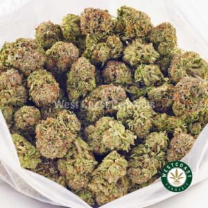 Buy weed Blueberry Octane AAAA at wccannabis weed dispensary & online pot shop Buy weed Blueberry Octane AAAA at wccannabis weed dispensary & online pot shop