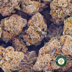Buy weed Purple Death Star AAAA at wccannabis weed dispensary & online pot shop Buy weed Purple Death Star AAAA at wccannabis weed dispensary & online pot shop